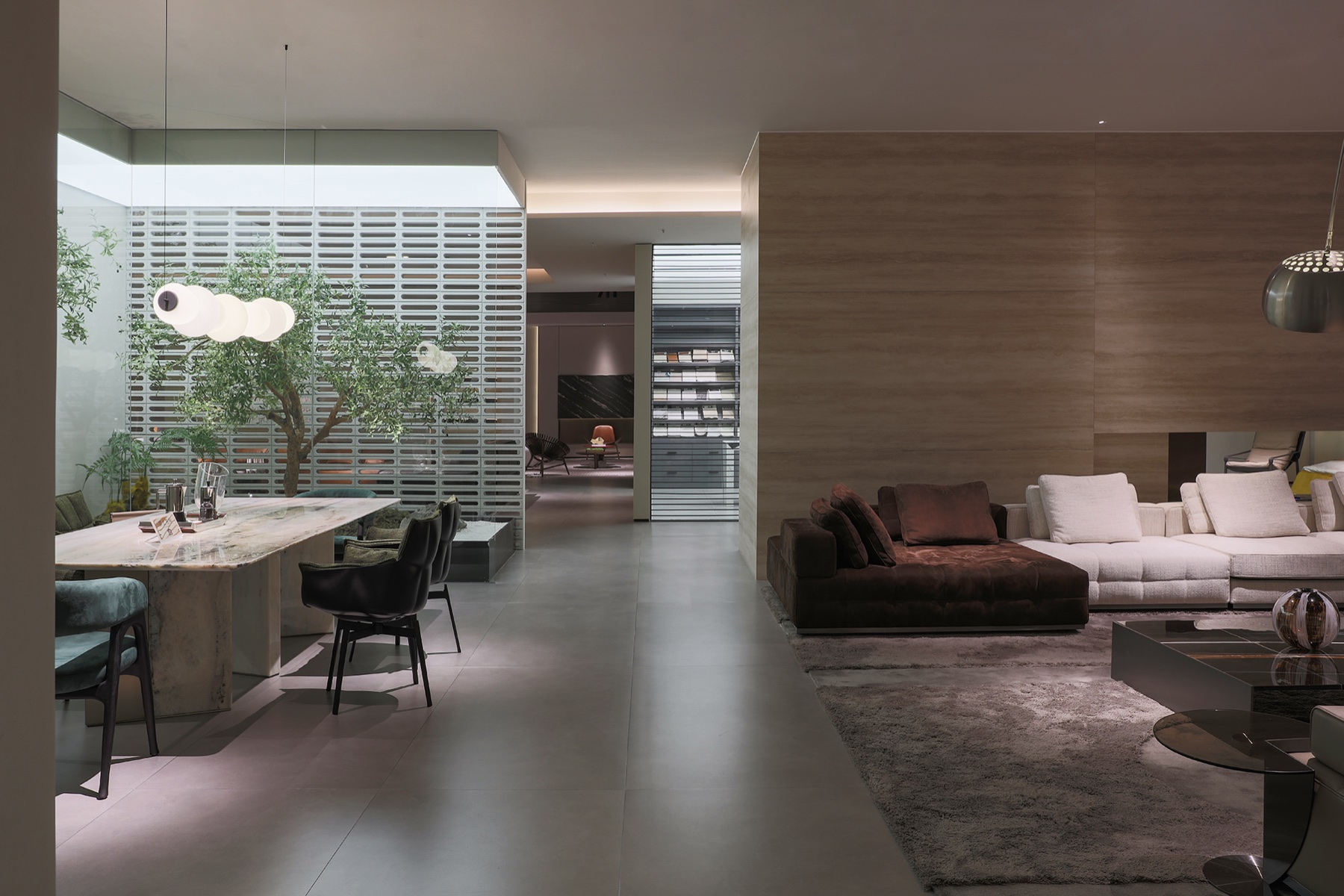 Chenxing Inspiration 007