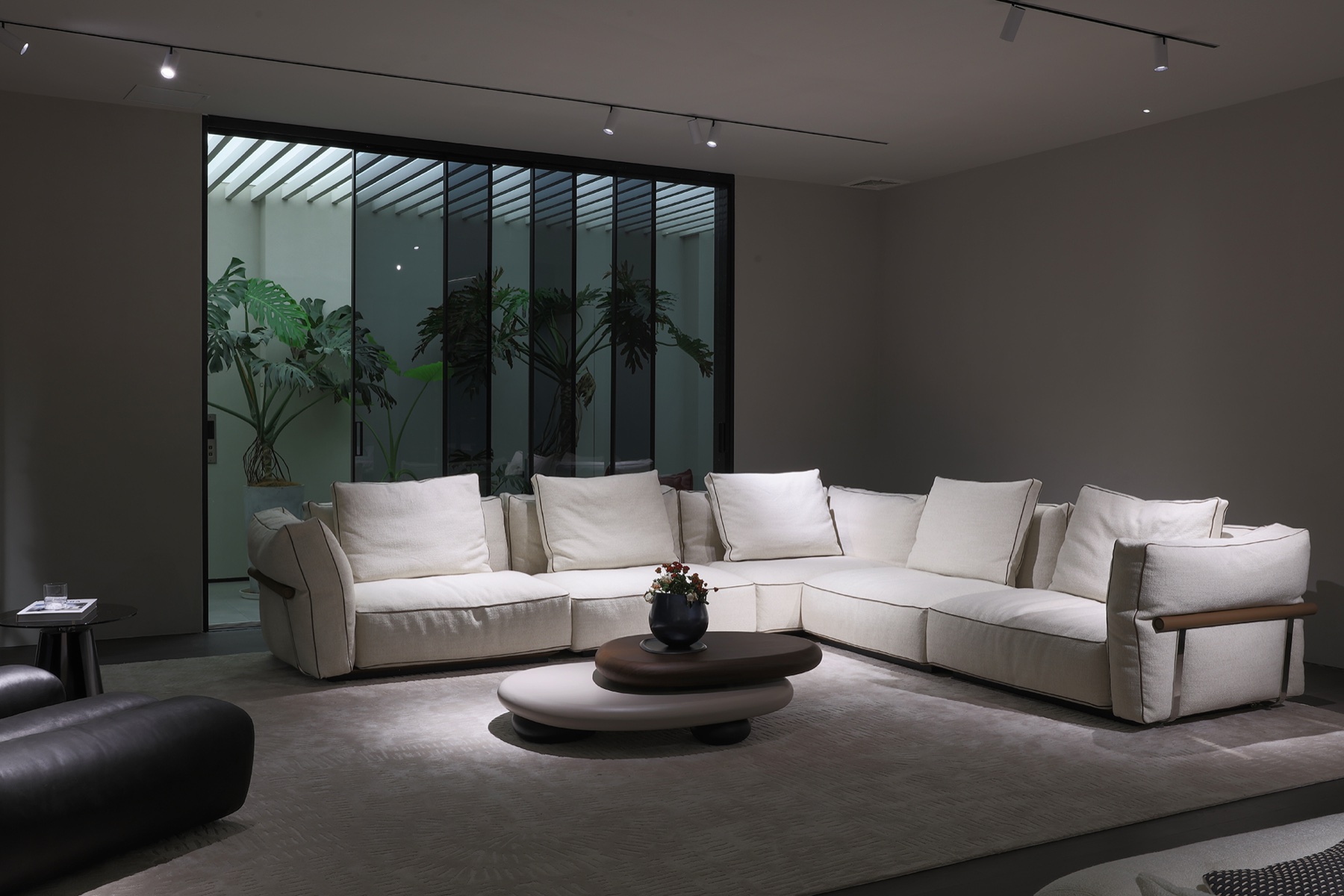 Chenxing Inspiration 085