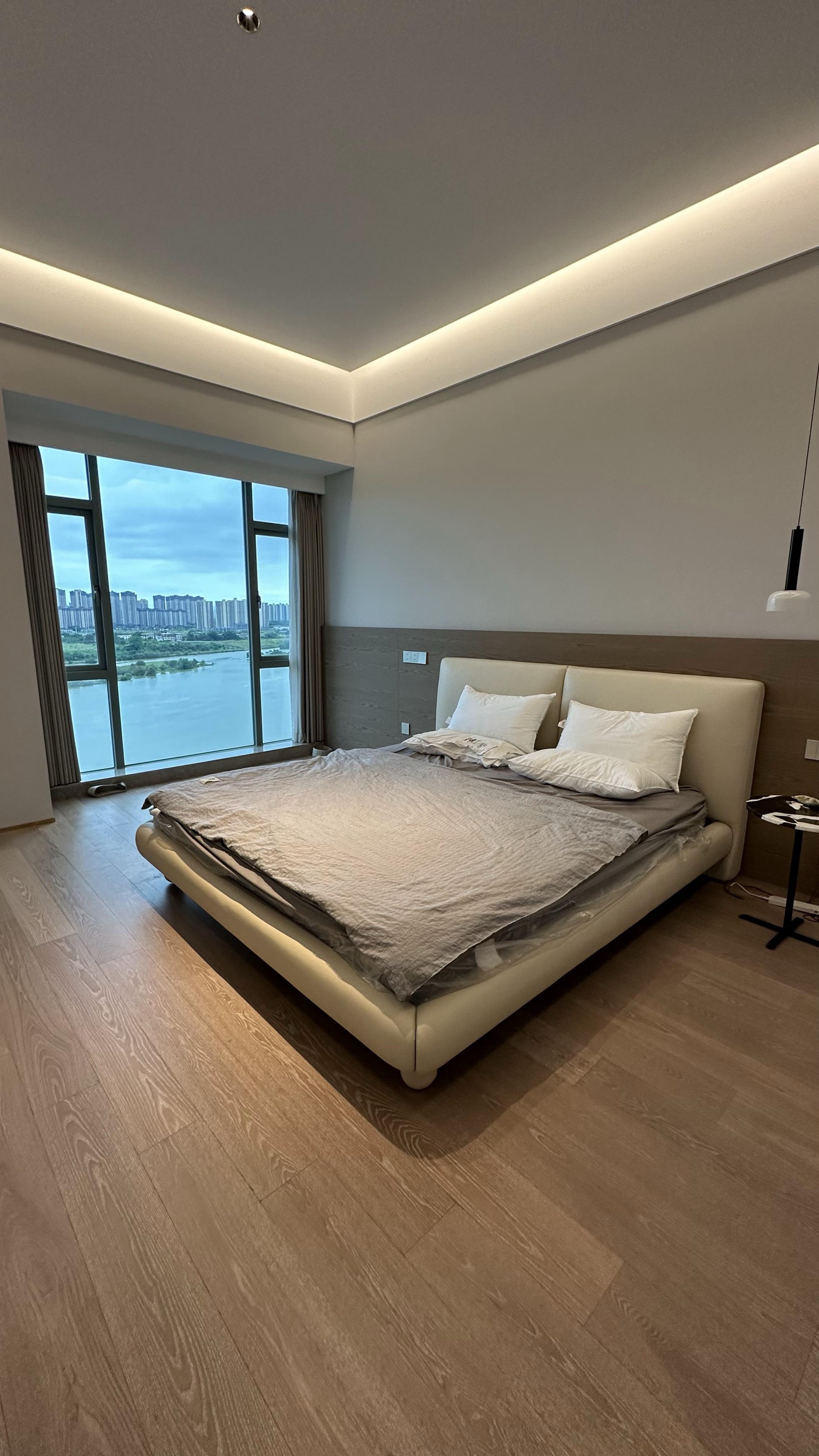 Domestic Buyer Project 014