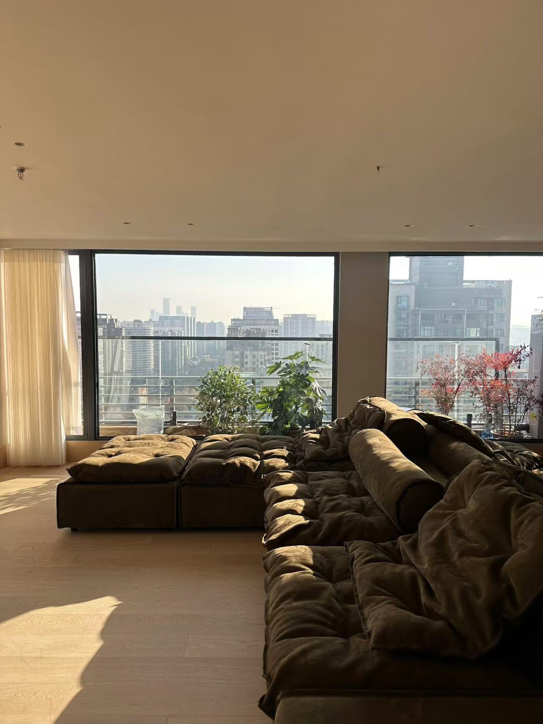 Domestic Buyer Project 026