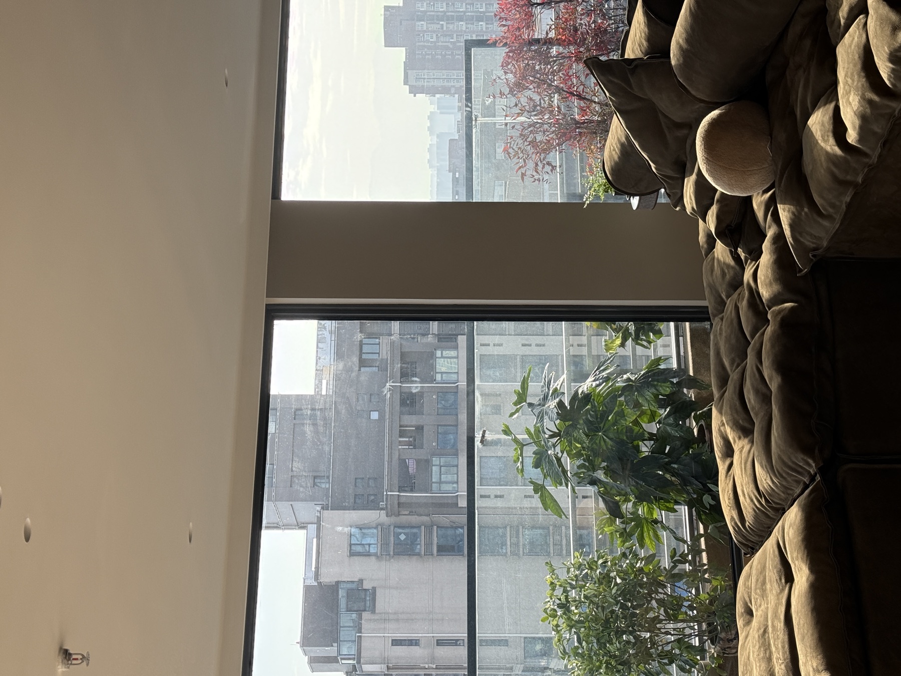 Domestic Buyer Project 028