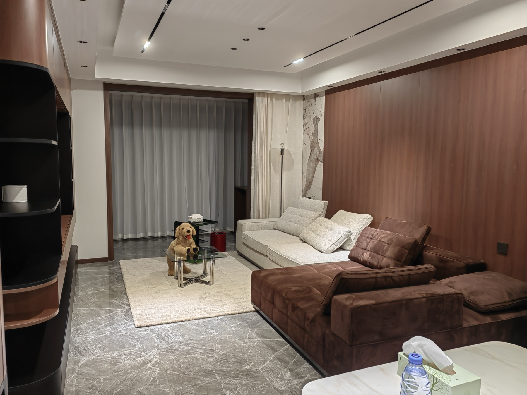 Domestic Buyer Project 029