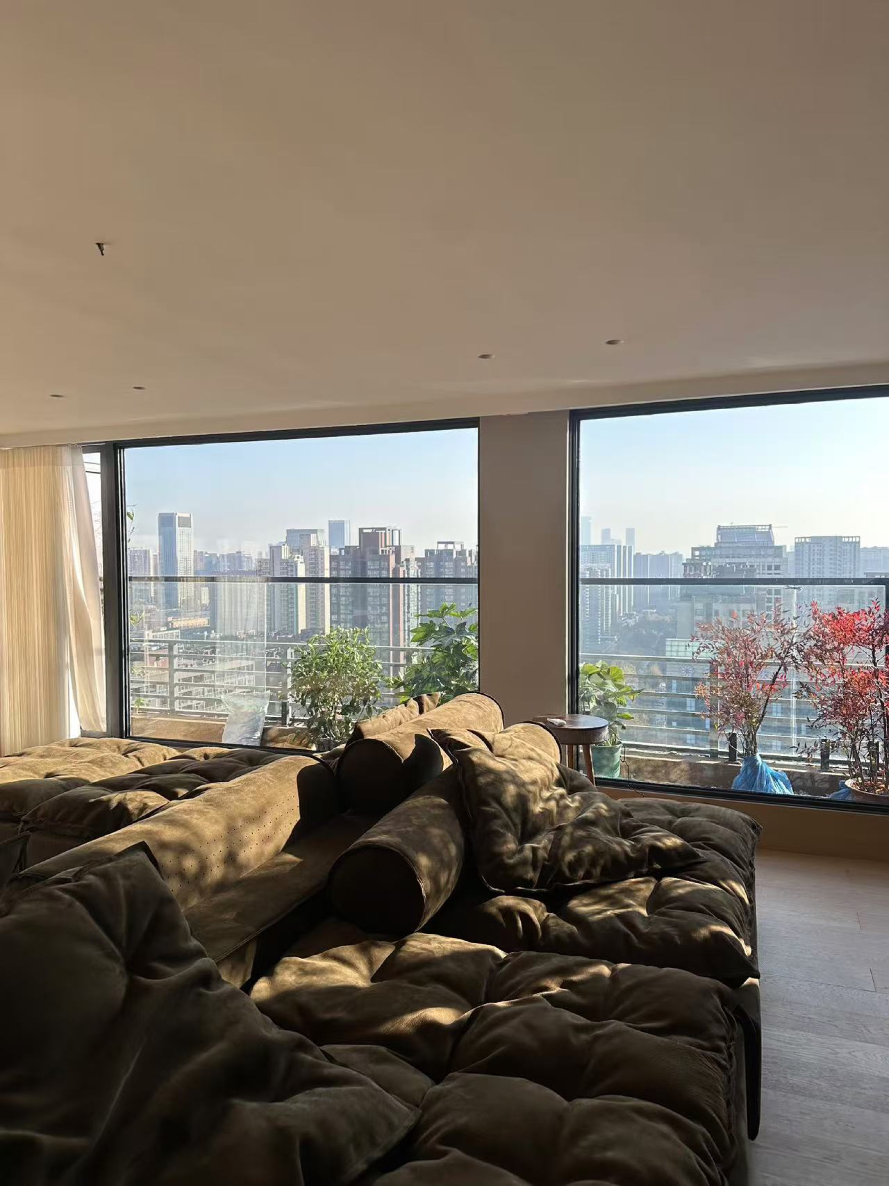 Domestic Buyer Project 032