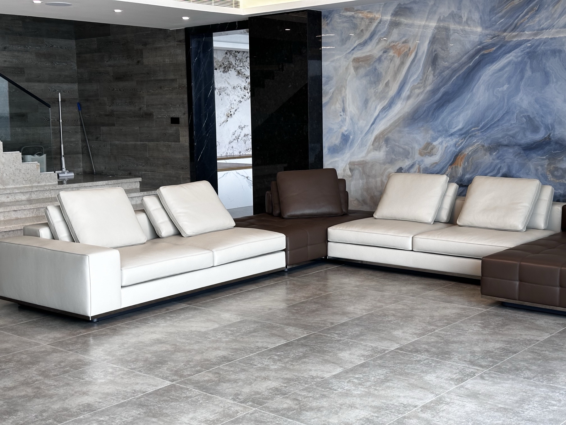 Domestic Buyer Project 039