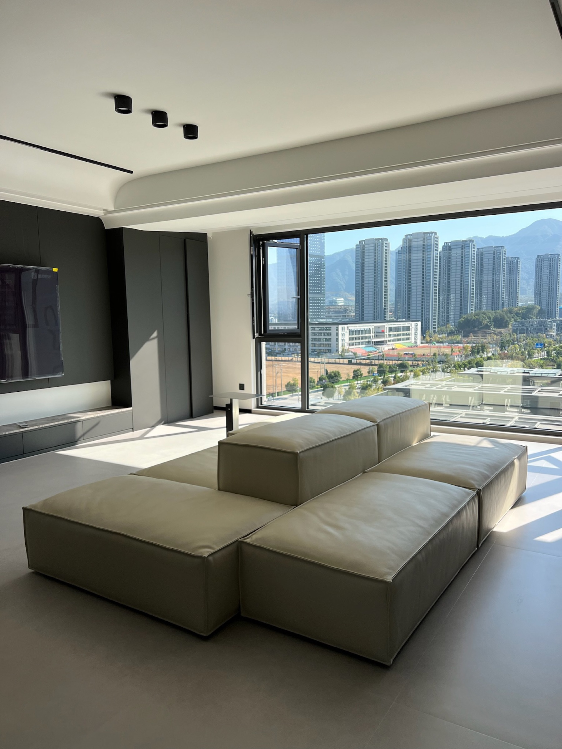 Domestic Buyer Project 059