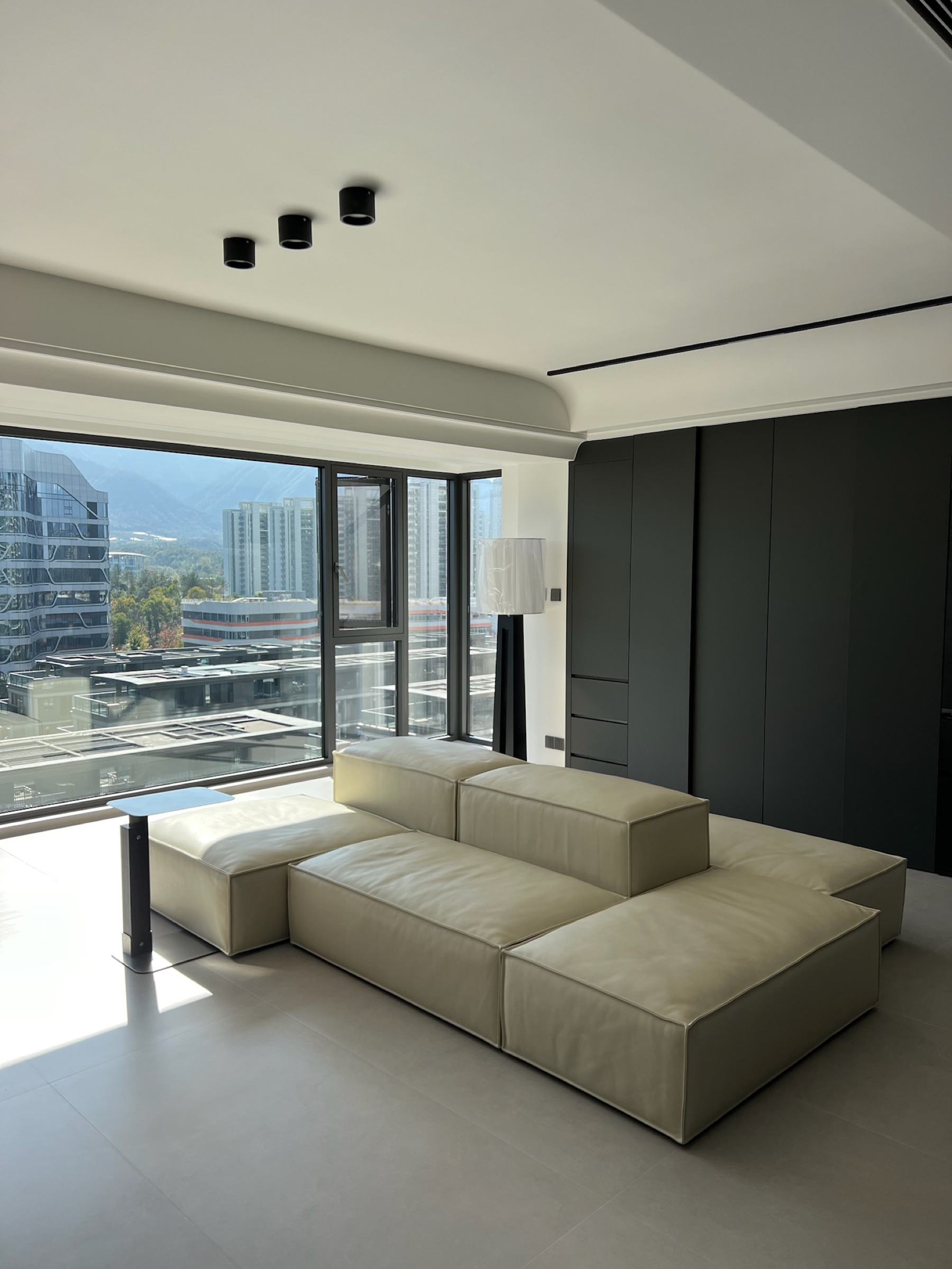 Domestic Buyer Project 060