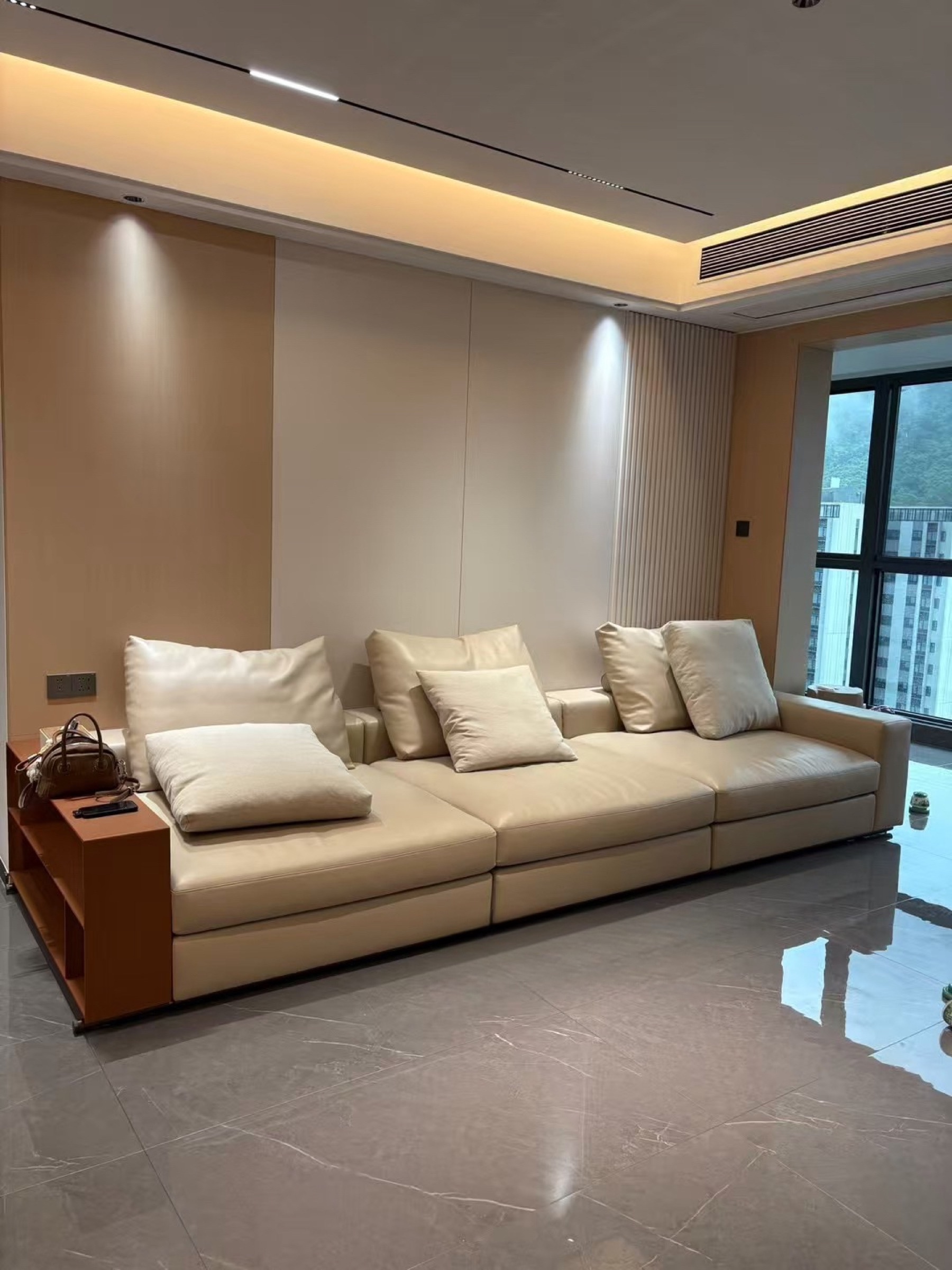 Domestic Buyer Project 144