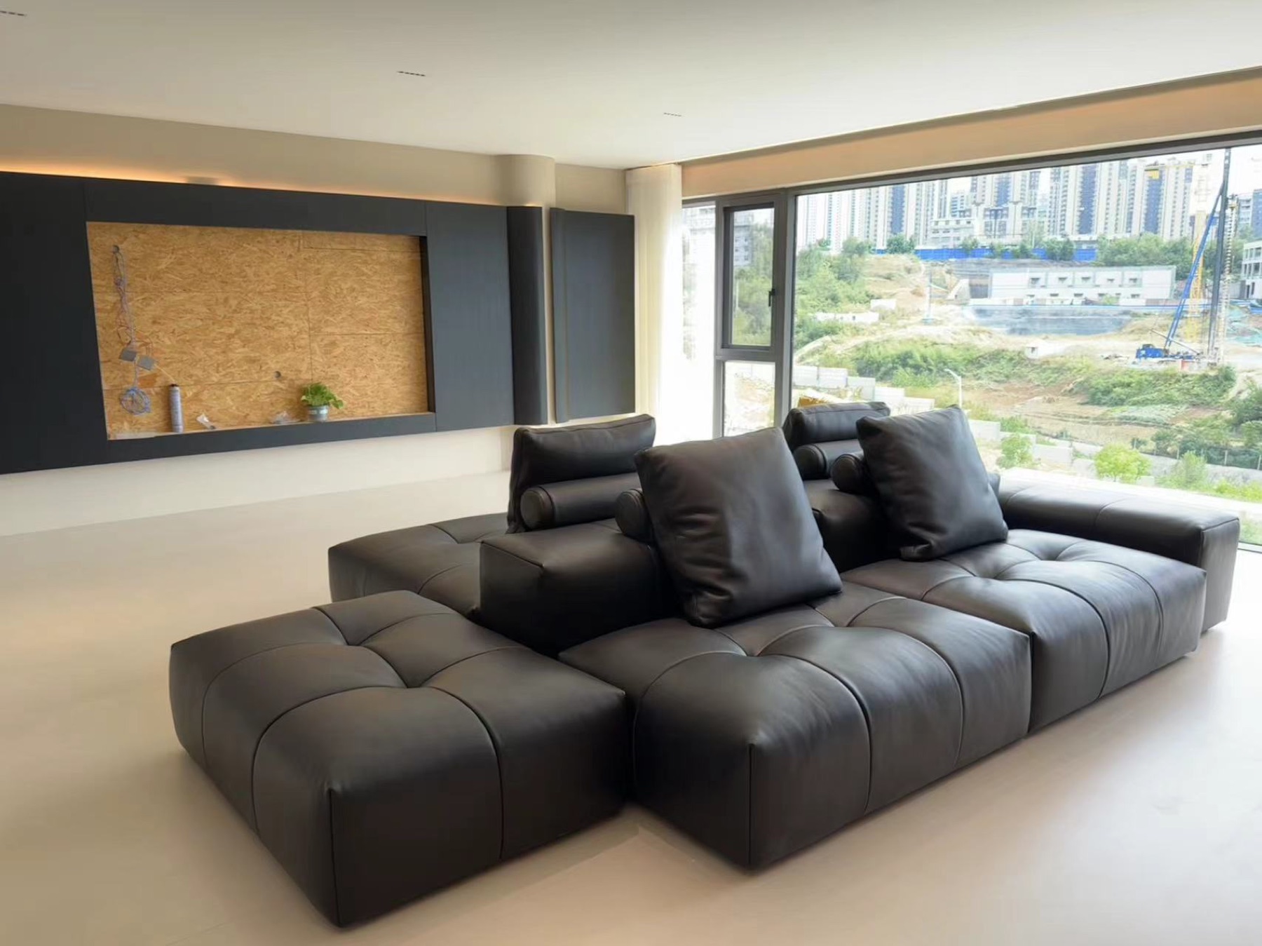Domestic Buyer Project 145