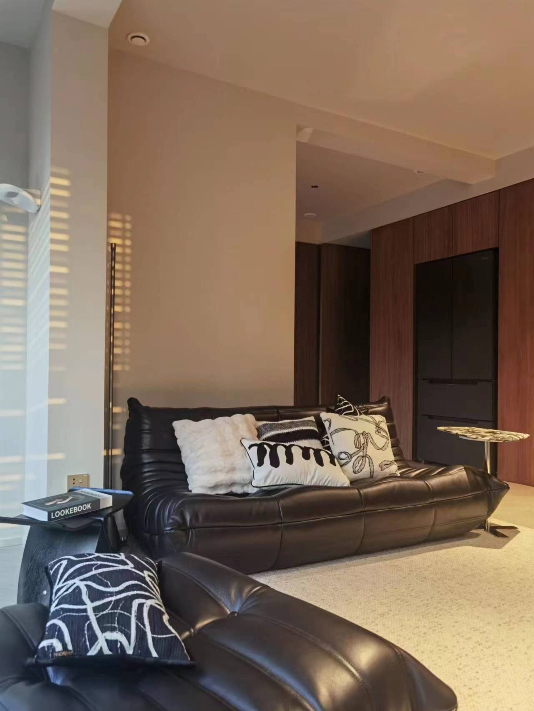 Domestic Buyer Project 146