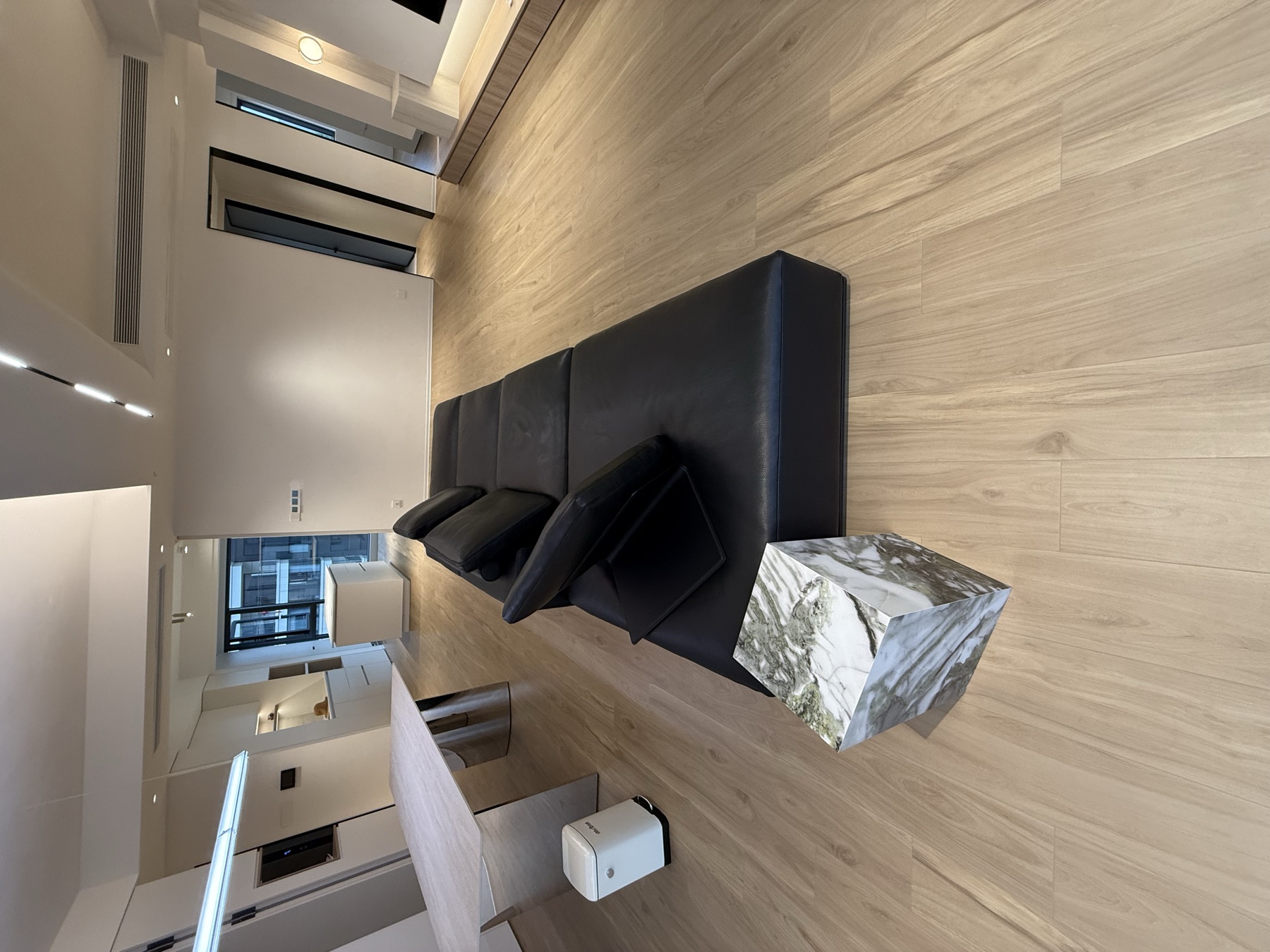 Domestic Buyer Project 163