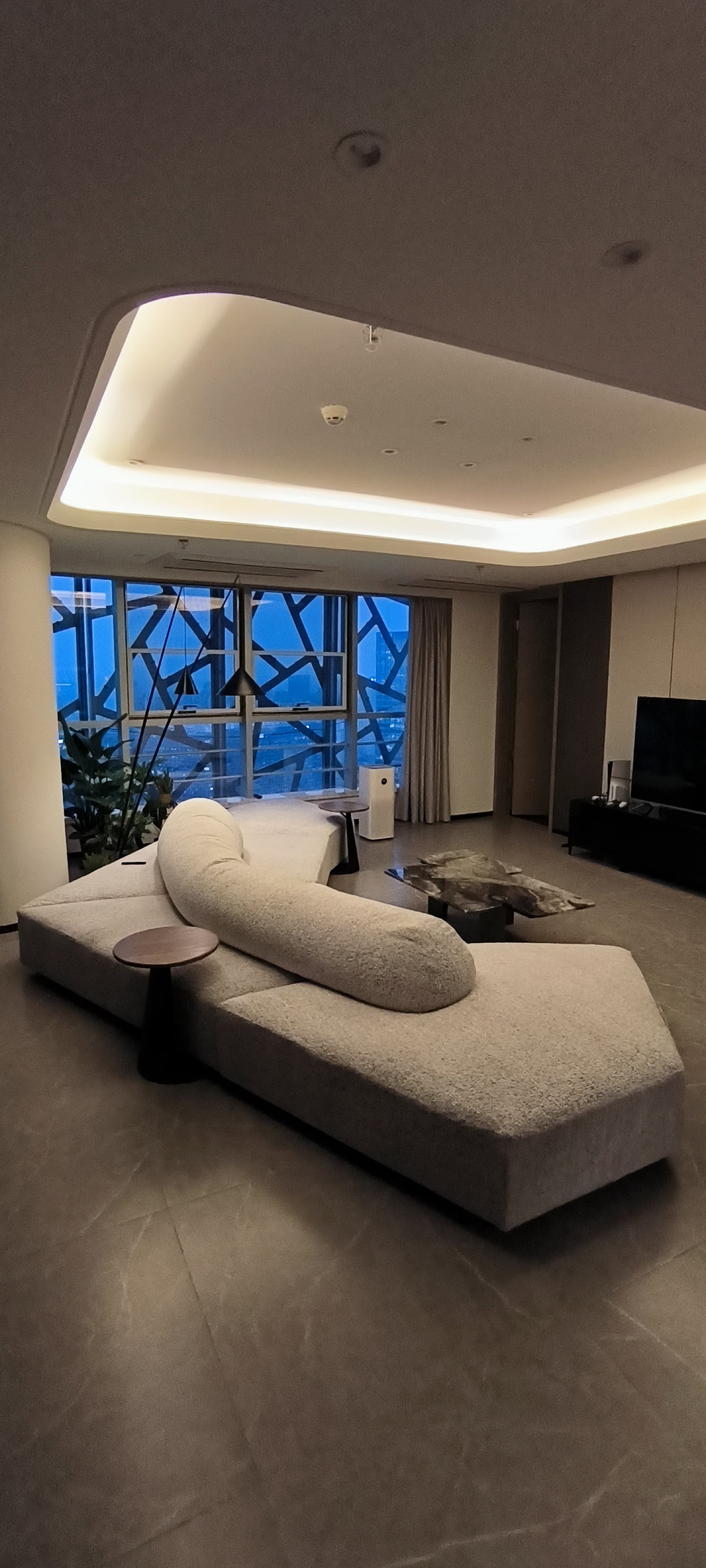 Overseas Buyer Project 191